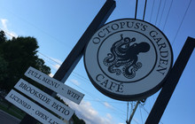 The Octopus' Garden Cafe餐厅图片