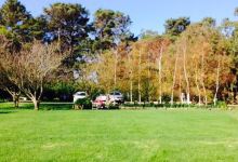 Johnny Ripe美食图片