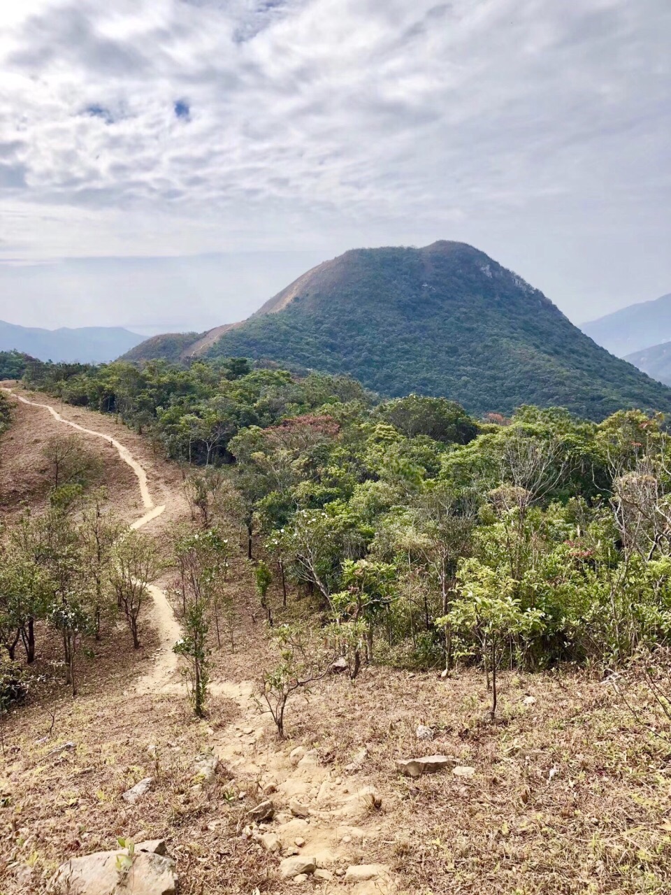 田心山