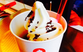 Yogi Premium Greek Frozen Yogurt