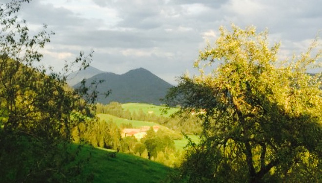 Jausenstation Muhlberghof
