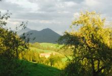 Jausenstation Muhlberghof美食图片