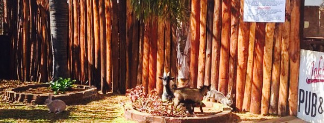 Jakkalsgat Pub & Grill餐厅图片