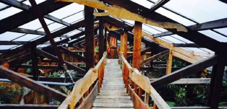 Het Paradijs餐厅图片