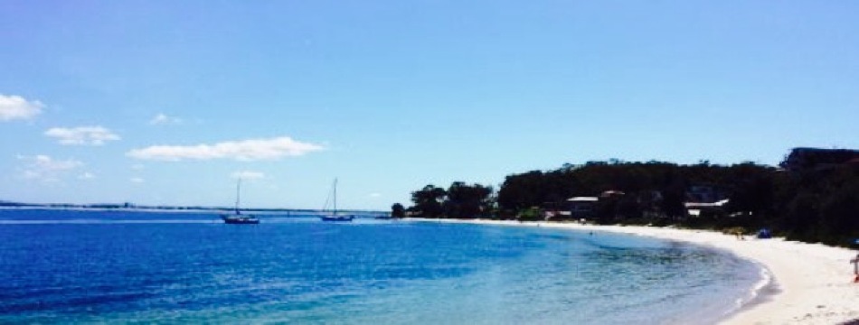 Dolphin Watch Cafe餐厅图片