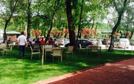 Prodecor Garden