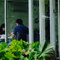 Hache Bistro