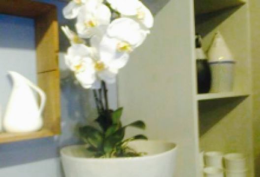 Fynbos Shop and Coffee Shop美食图片
