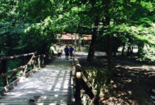 Ördögmalom Erdei Étterem美食图片