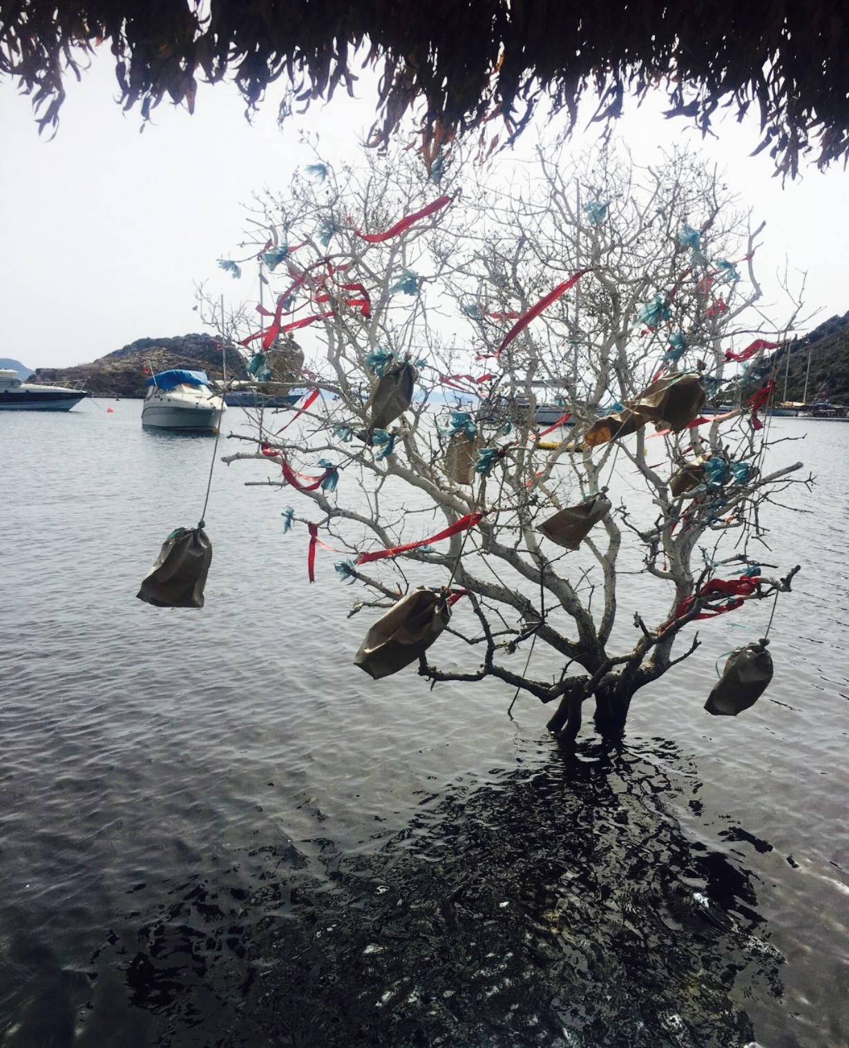 Gumuscafe Fish Restaurant