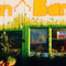 Golden Bamboo