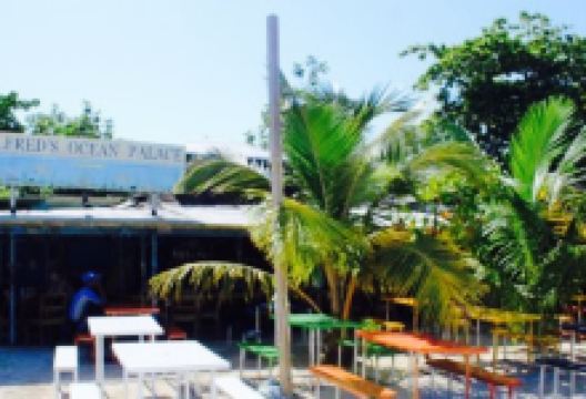 Alfreds Ocean Palace美食图片