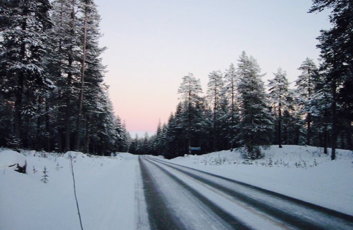 Ocean Dragon Ravintola