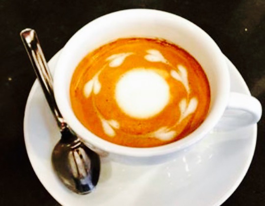 Wood N Frog Coffee Company