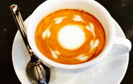 Wood N Frog Coffee Company