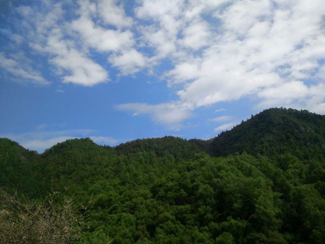 칸불라 국가삼림공원