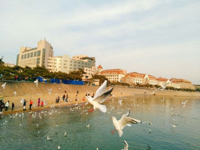 잔교(잔차오)
