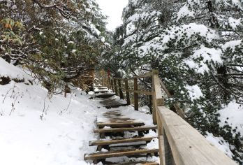 【三环内接送·独立包车】昆明轿子雪山·纯玩无购物·自由行【[安全保障]当地本地老司机带您上路，实名认证考核上岗，资质齐全~】