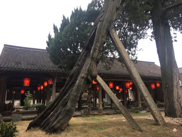 강남 제일의 가문