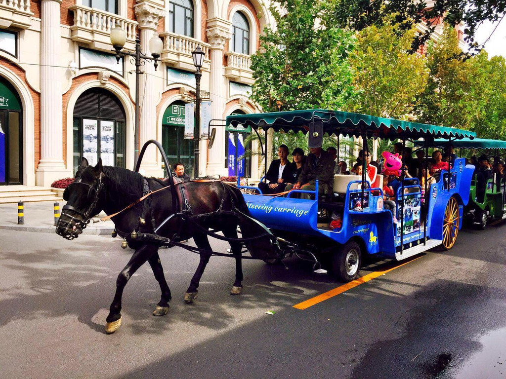                 坐马车游五大道