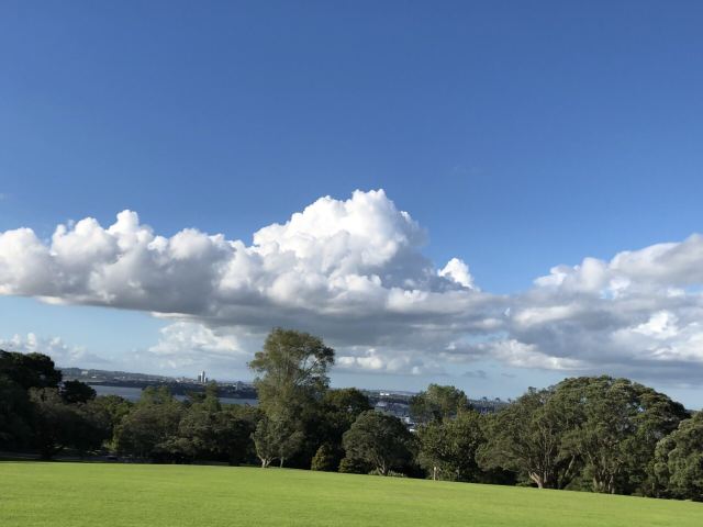 Auckland Domain