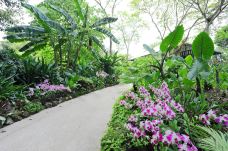 新加坡植物园-新加坡-doris圈圈
