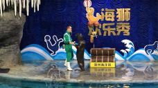 郑州海洋馆-郑州-doris圈圈