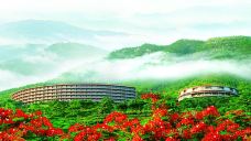 雁南飞茶田景区-桥溪古韵-梅州-doris圈圈