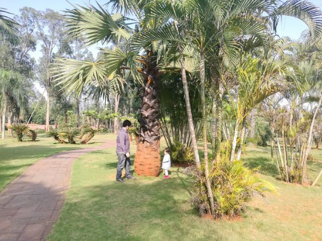 Jinniuling Park