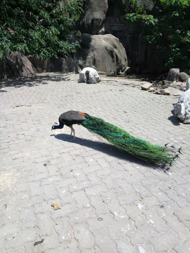 스메이안 관광지구