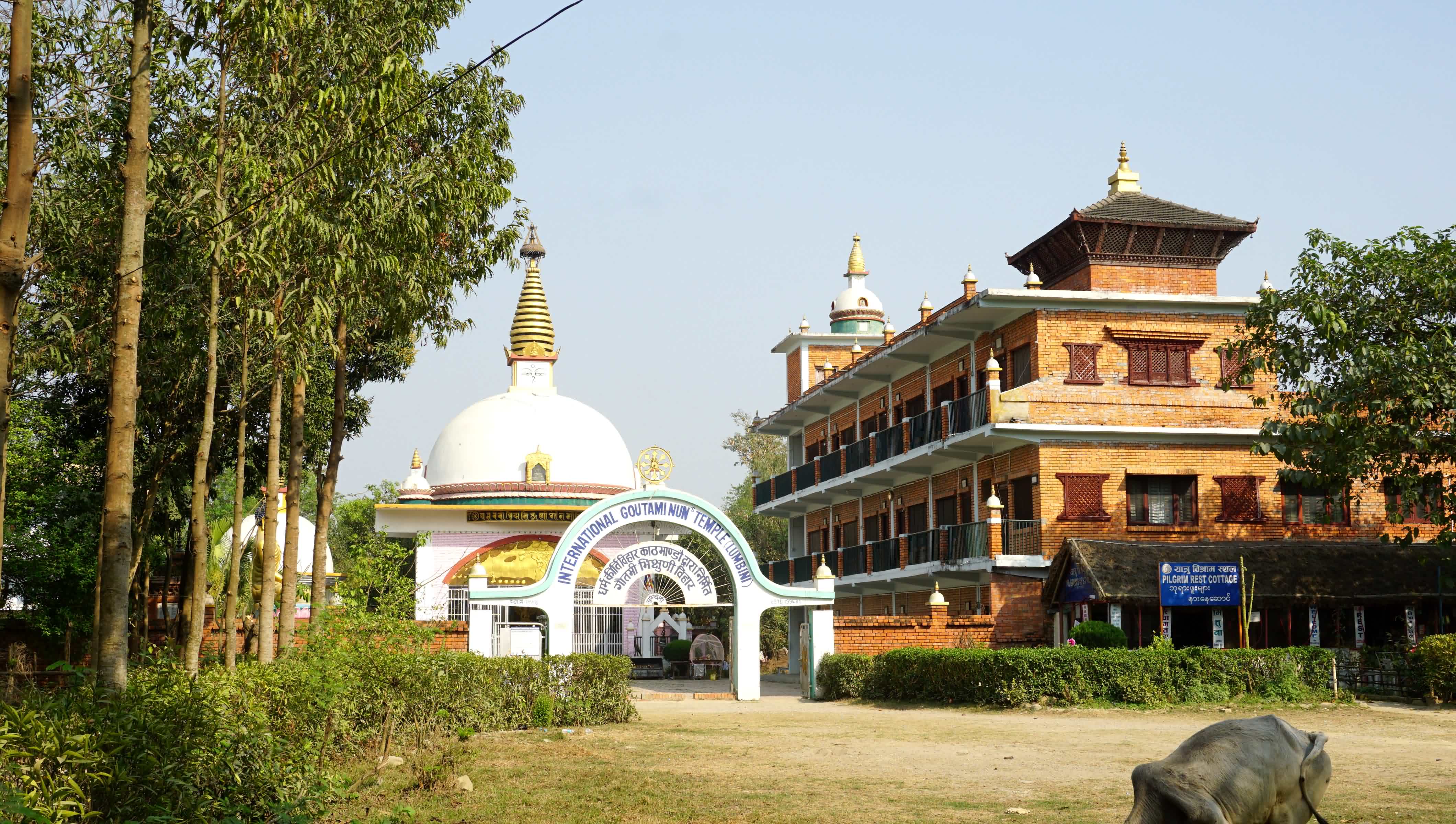 世界和平塔（World Peace Pagoda）。蓝毗尼园还保存有释迦牟尼佛真身舍利，佛祖的这些舍