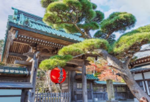 长谷寺景点图片