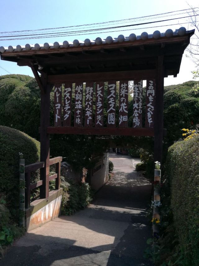 노코노시마