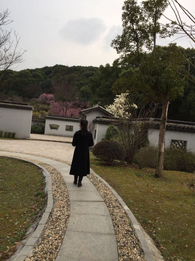 매원