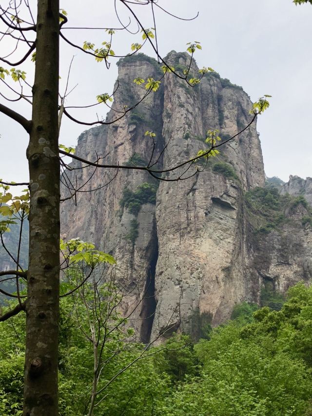 링펑징취