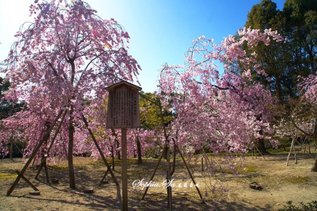 Heian Shrine