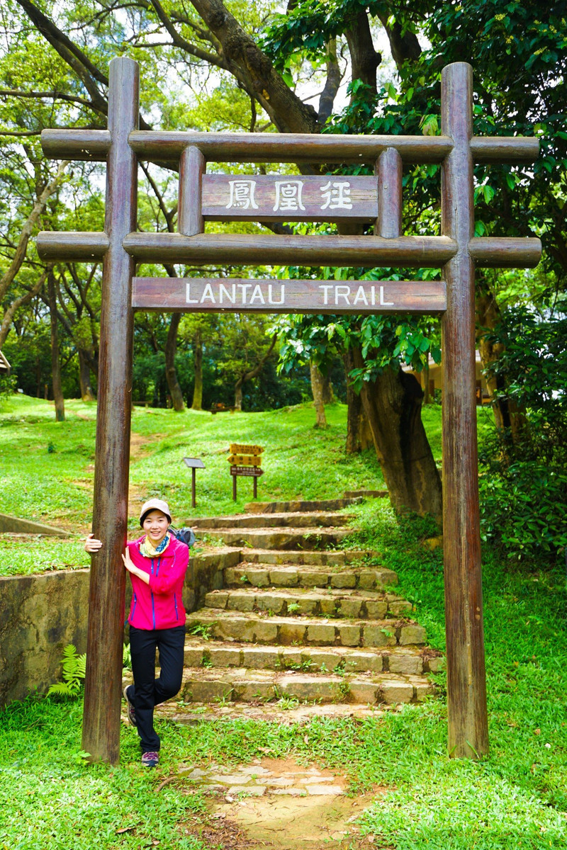 香港徒步行，凤凰径、港岛径