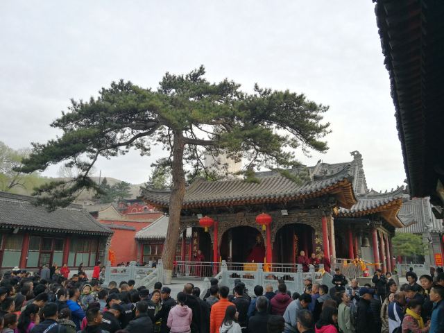 五爺廟