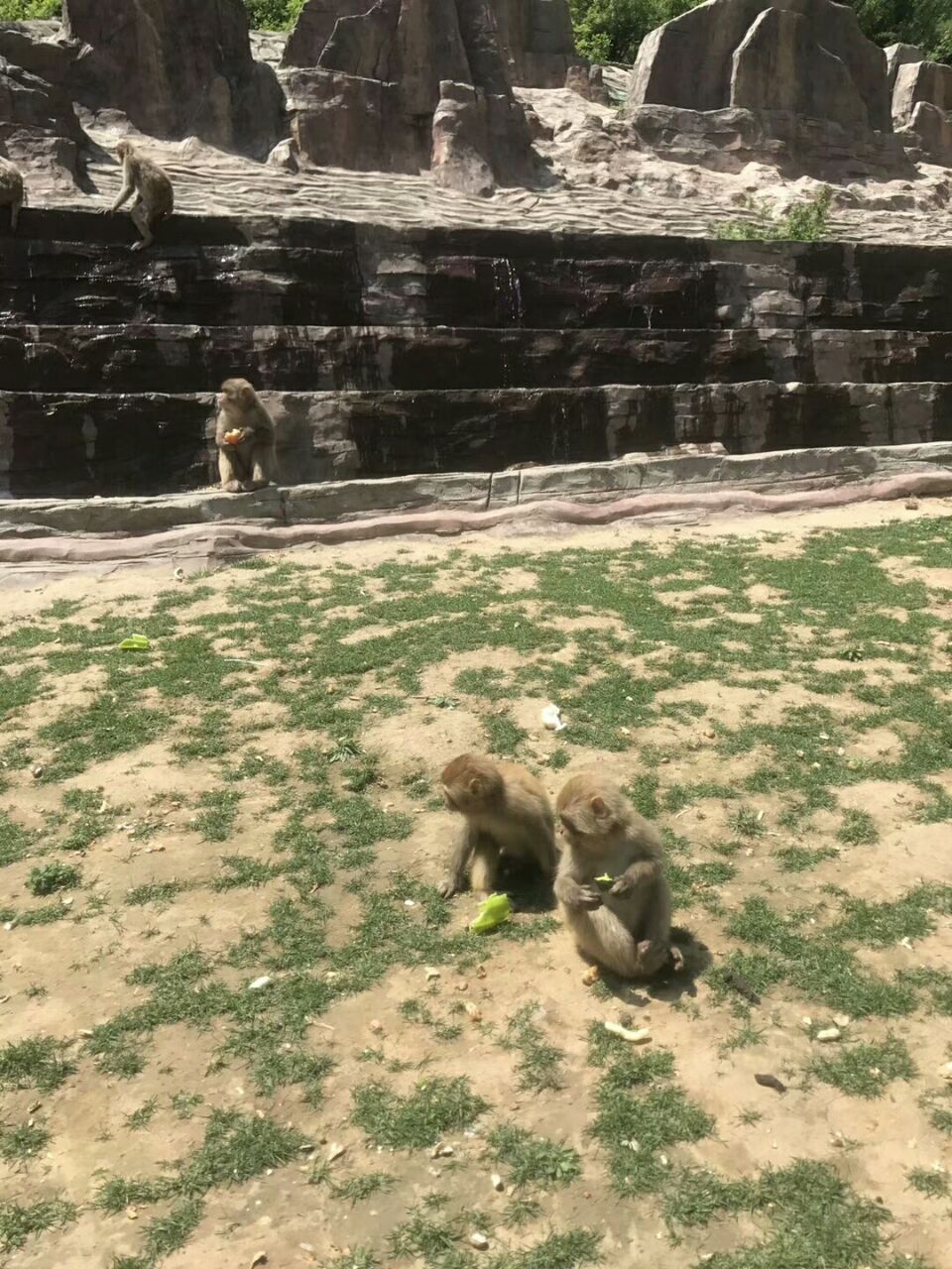 太行山猕猴自然保护区