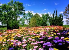 北京园博园-北京-喜欢旅行的Mrpatrick