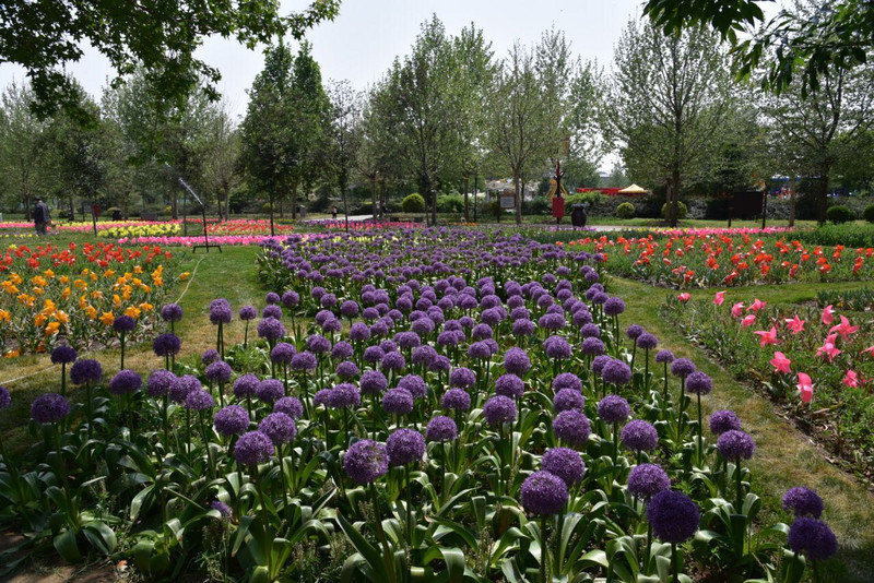 北京国际鲜花港