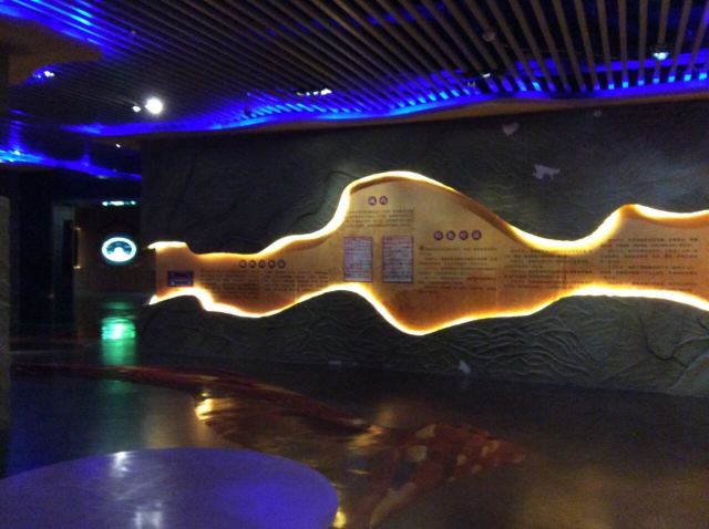 Qinghai Tibetan Culture Museum