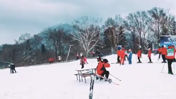 🎿