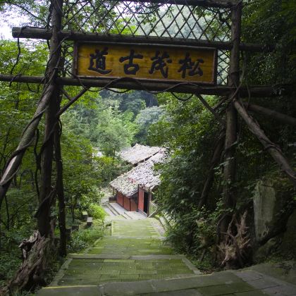 青城山+成都+都江堰景区4日3晚私家团