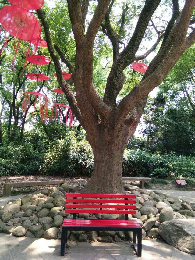 매원