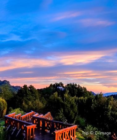 7D6N • Taipei + Taichung + Sun Moon Lake + Alishan National Scenic Area
