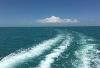 塔尔寺+青海湖+日月山+拉脊山一日游【精品小团上门接】【1，达人带队，精选线路，深度体验，创新玩法，贴心管家，摄影帮手，路上美景随走随停！】