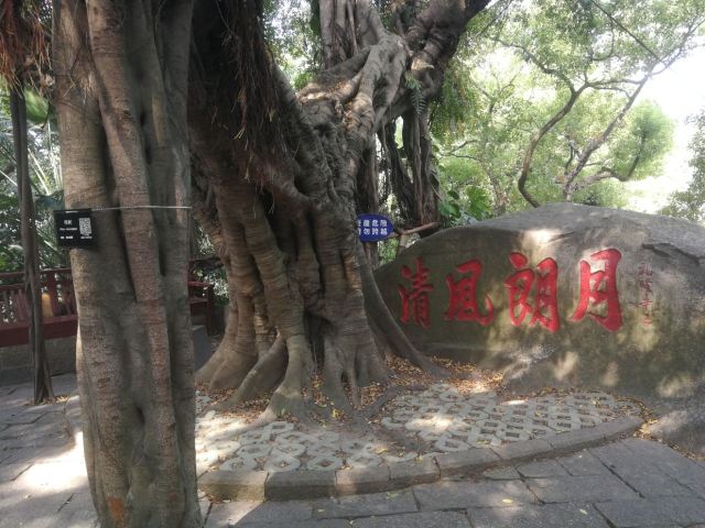 於山