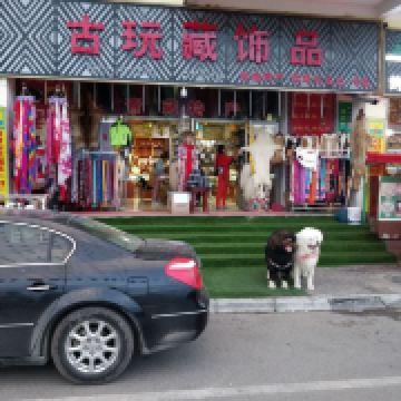 图片 2