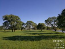 三道沟林场村-多伦-YoYo_2M5L2M5F